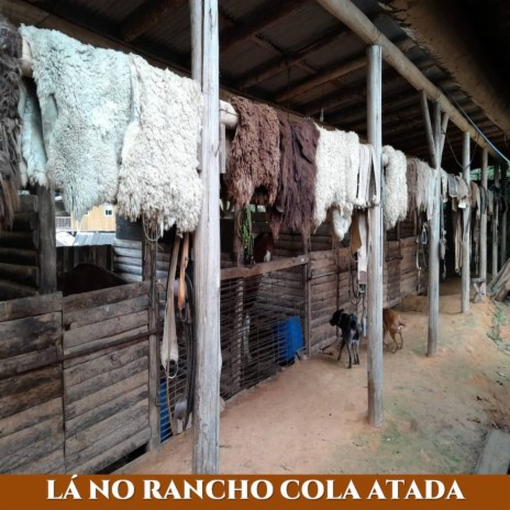 Lá no Rancho Cola Atada | Boomplay Music