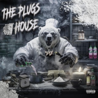 THE PLUGS HOUSE