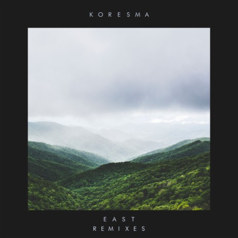 Forest Sang (Good Lee Remix) | Boomplay Music