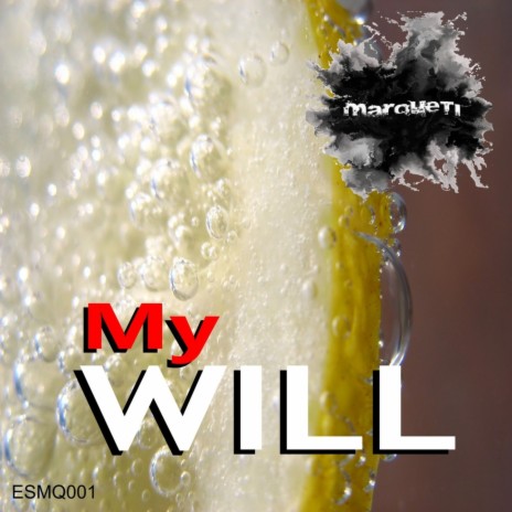 My Will | Boomplay Music