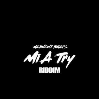 Mi A Try Riddim