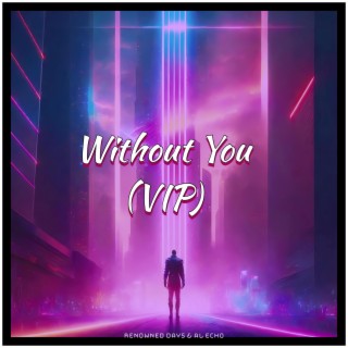 Without You (VIP)