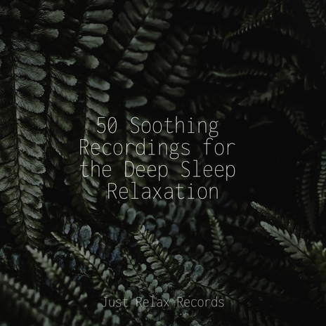 Echoes in Solitary Reminiscence ft. Musica para Bebes & Musica para Meditar | Boomplay Music