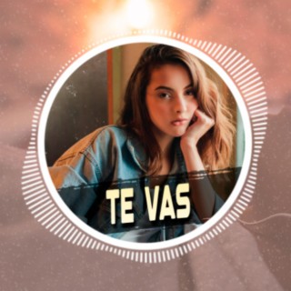 Te Vas (Instrumental Reggaeton)