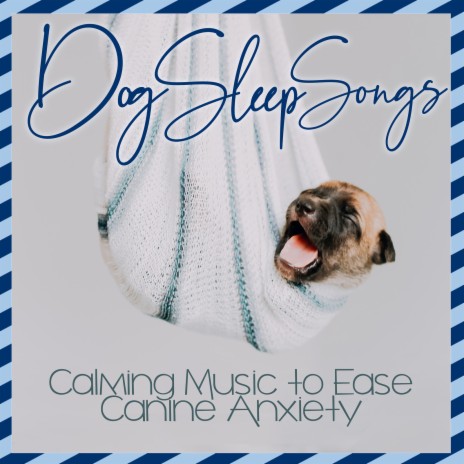 Dog Lullabies ft. Dog Music Dreams & Relaxmydog | Boomplay Music