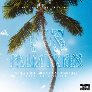 VVS PalmTrees