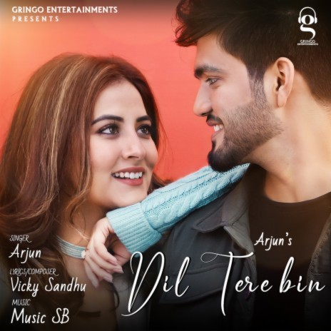 Dil Tere Bin | Boomplay Music