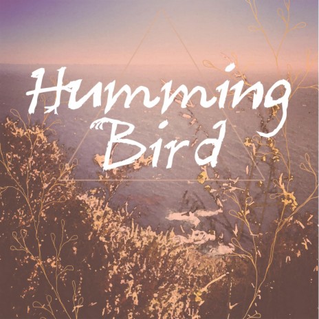 Hummingbird | Boomplay Music