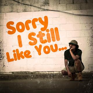 Sorry, I Still Like You