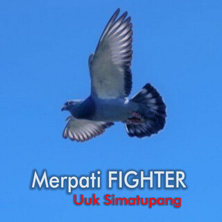 Merpati Fighter