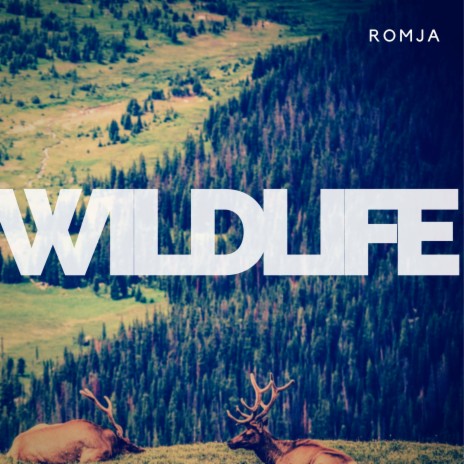 Wildlife | Boomplay Music