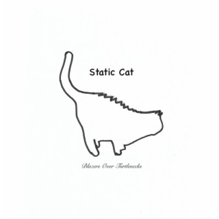 Static Cat