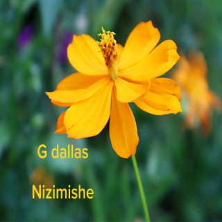 Nizimishe
