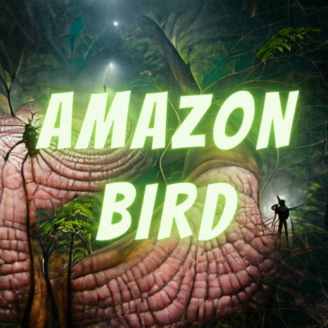 Amazon Bird