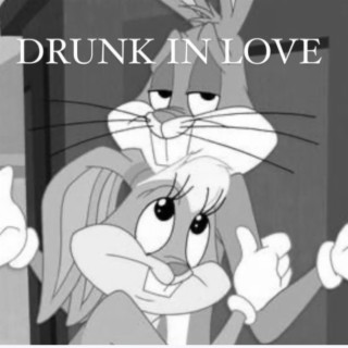 Drunk in Love lyrics | Boomplay Music