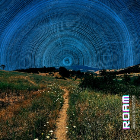 Roam ft. Lexington Keyz & Wild Tide | Boomplay Music