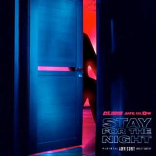 Stay for the Night