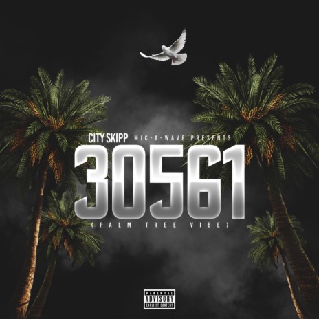 30561 (Palm Tree Vibe) | Boomplay Music