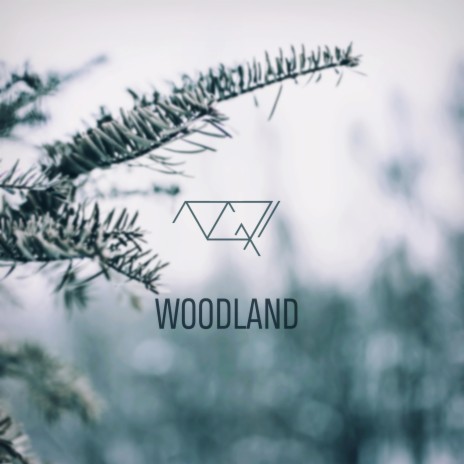 Woodland | Boomplay Music