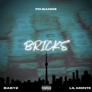 Bricks