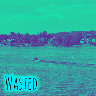 Wasted