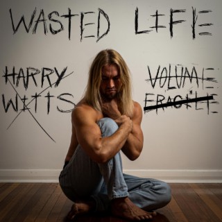 Wasted Life lyrics | Boomplay Music