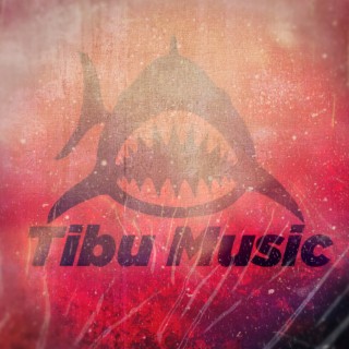 Intrumentales hot Tibu Music Vol.4