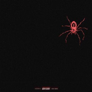 SPIDER lyrics | Boomplay Music