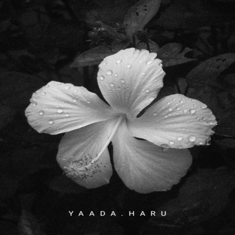 YAADA HARU | Boomplay Music