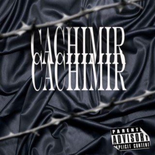 Cachimir