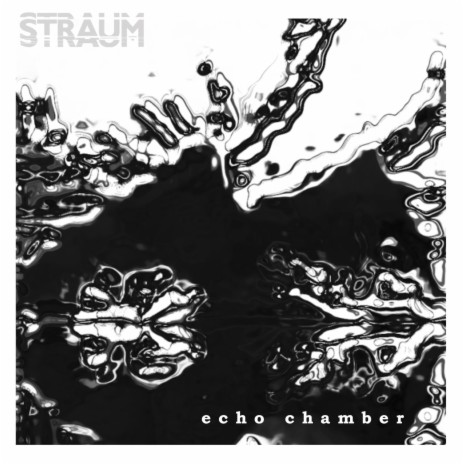 Echo Chamber | Boomplay Music