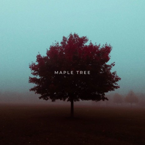 Maple Tree | Boomplay Music