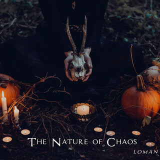 The Nature of Chaos