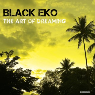 Black Eko