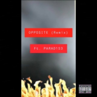 Opposite (Remix)