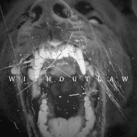 Without Law ft. Wolf Alexander