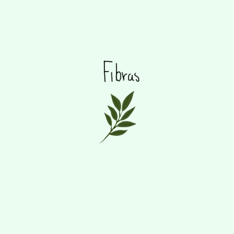 Fibras