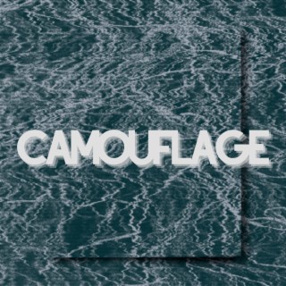 Camouflage