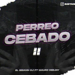 PERREO CEBADO 2