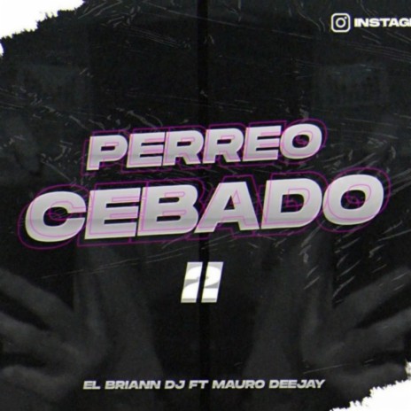 PERREO CEBADO 2 ft. Mauro Deejay | Boomplay Music