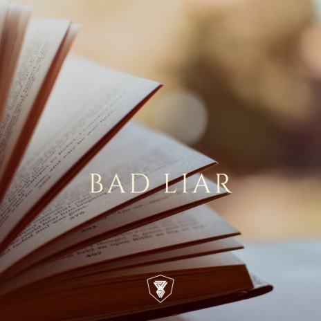 BAD LIAR ft. DJ SUITUP | Boomplay Music