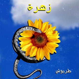 زهرة