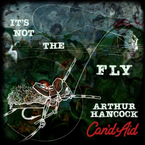 It's Not the Fly | Boomplay Music