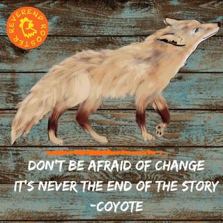 Coyote