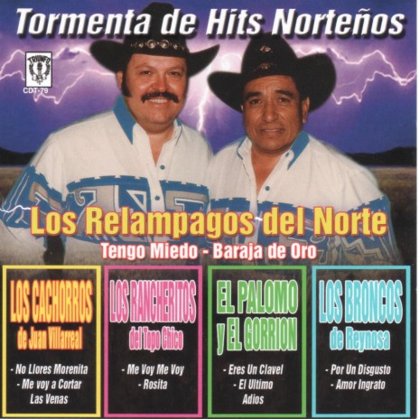 No Llores Morenita | Boomplay Music