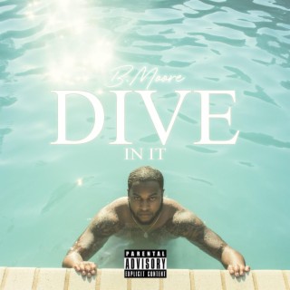 Dive In It