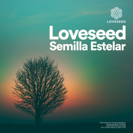 Semilla Estelar | Boomplay Music