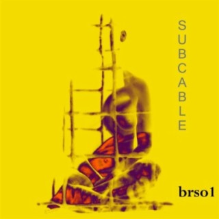 Brso1