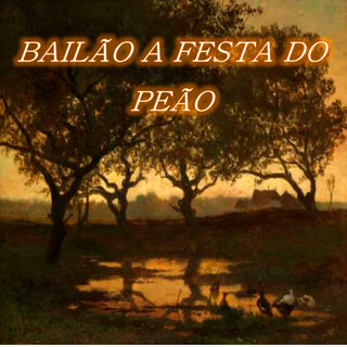 Bailão a Festa do Peão