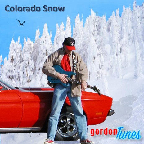 Colorado Snow